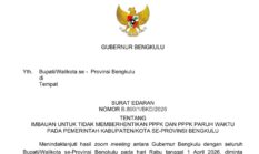 Gubernur Bengkulu Helmi Hasan Larang PHK PPPK