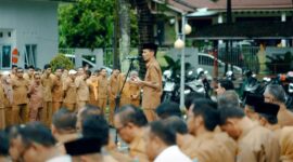Oplus_0