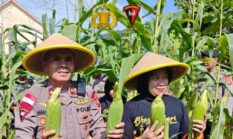 Satbrimob Polda Kalbar Ubah Lahan Tidur Jadi Produktif, Dukung Ketahanan Pangan