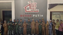 Oplus_0