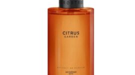 Oplus_0