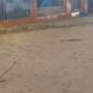 Oplus_0