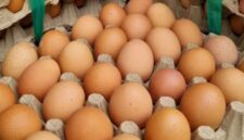 Oplus_0