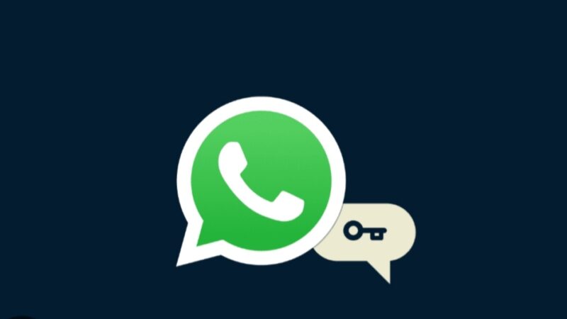 Oplus_0