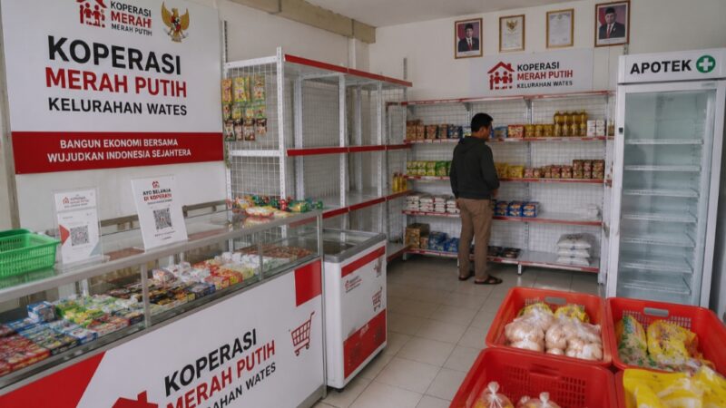 Oplus_0